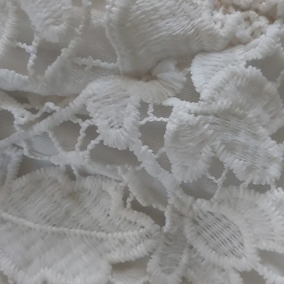 Lace Blouse - Picture 5 of 6